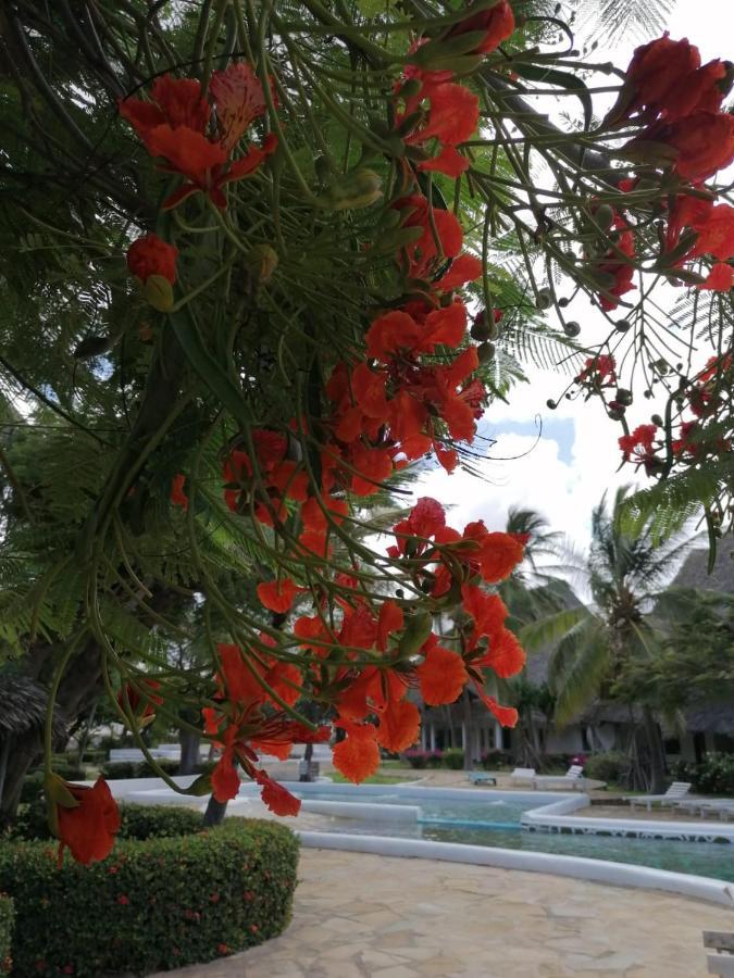 Coral Key Villa Malindi Kültér fotó